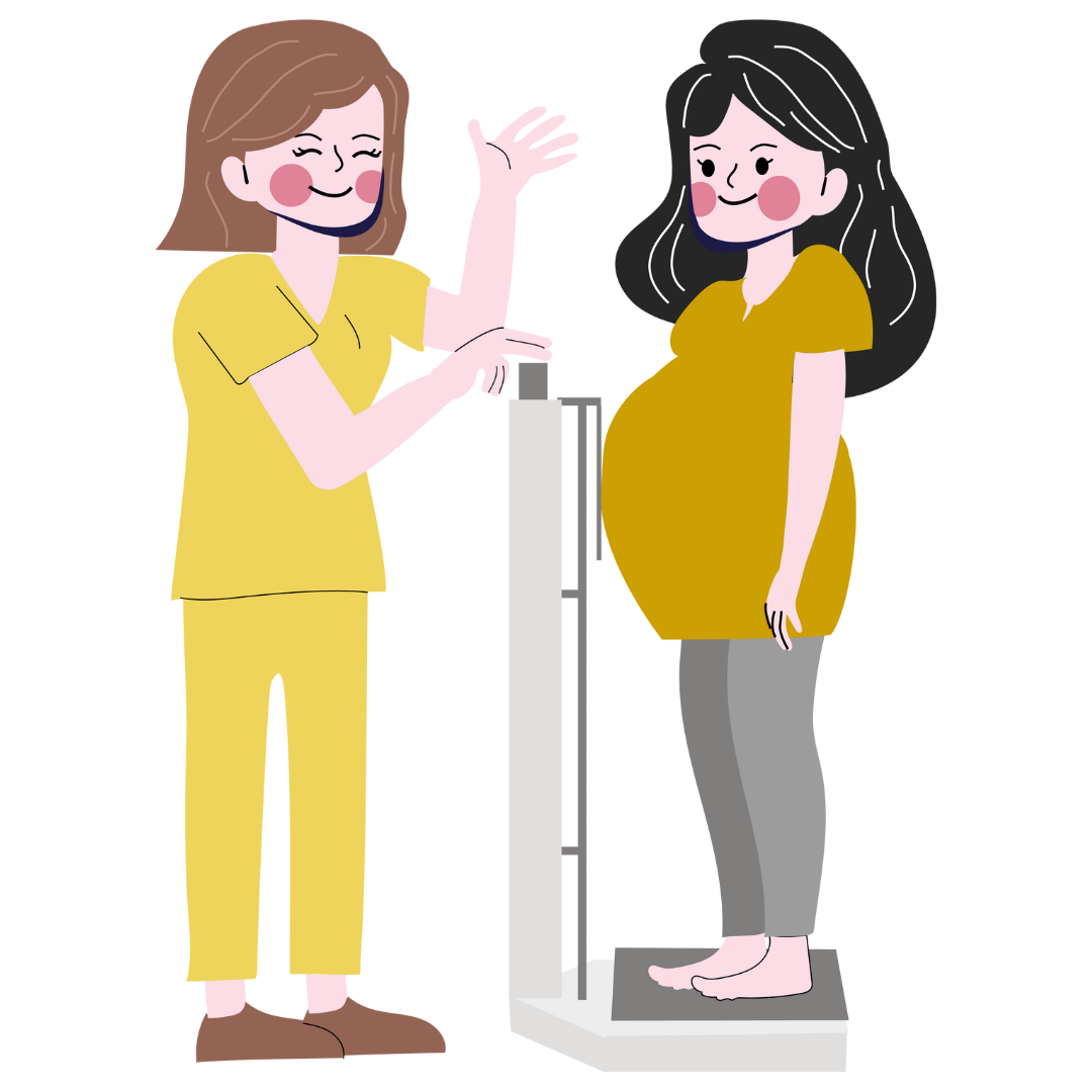 Maternity & Pregnancy